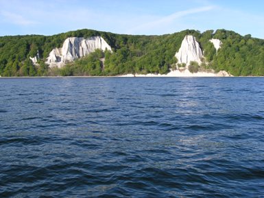 Meerzauberkreide Koenigsstuhl