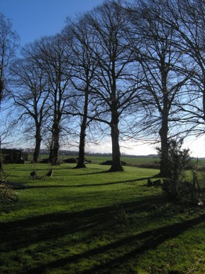 Märzgarten